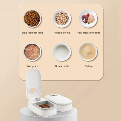 Smart Automatic Pet Feeder for Cats & Dogs with Timer and Stainless Steel Bowl - pawvon