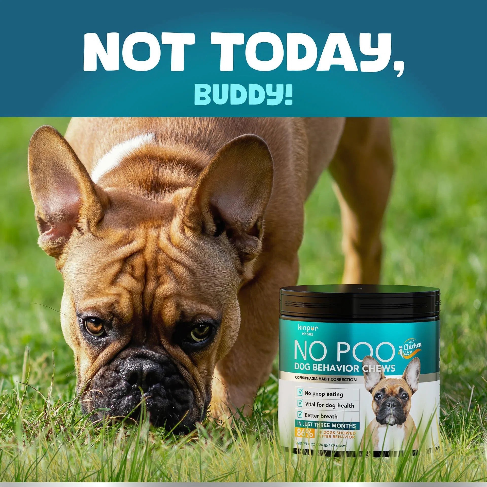 No Poo Chews Dogs Stop Poop Eating Probiotics Digestive 180 Chews - pawvon