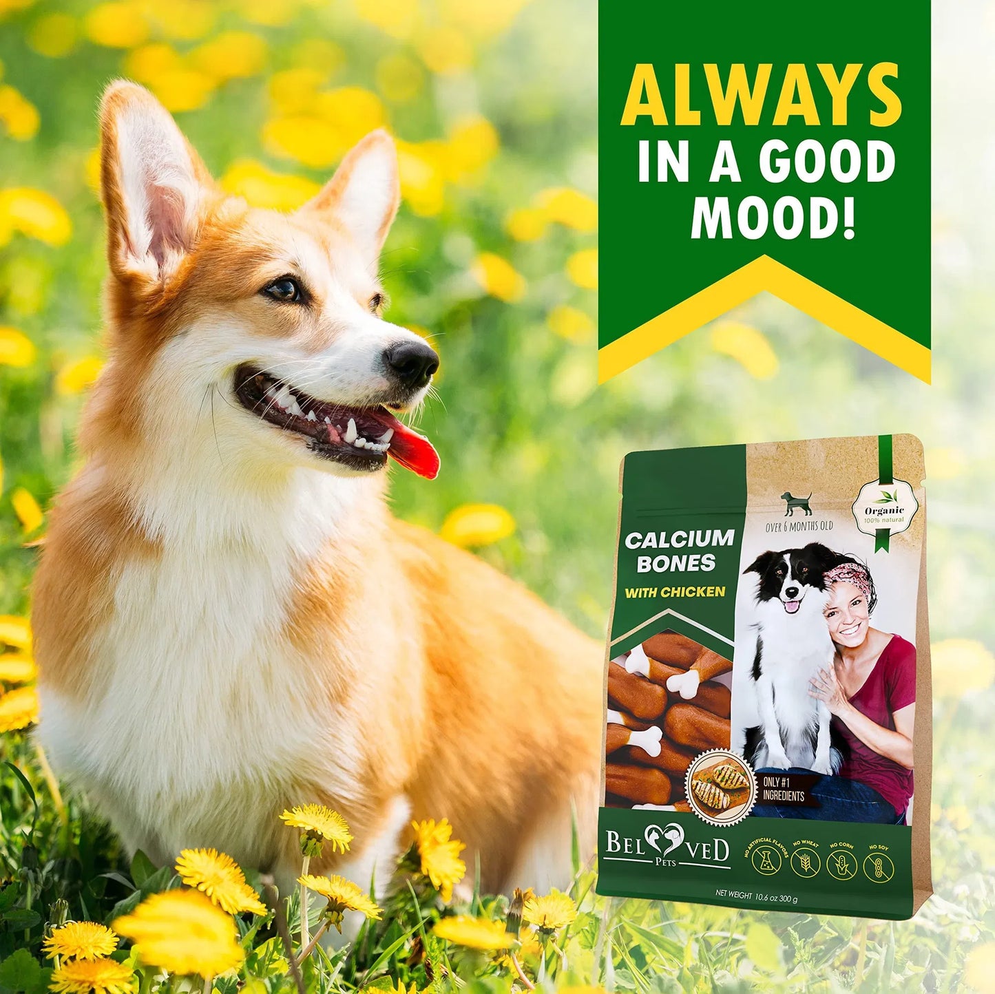 Chicken Wrapped Calcium Bones for Dogs – Grain-Free Chew Treats - pawvon