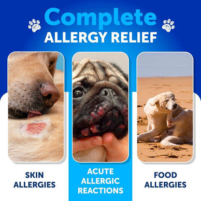 Probiotic Chews for Dogs – Gut Health & Digestive Support (180 Count) - pawvon