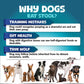 No Poo Chews Dogs Stop Poop Eating Probiotics Digestive 180 Chews - pawvon