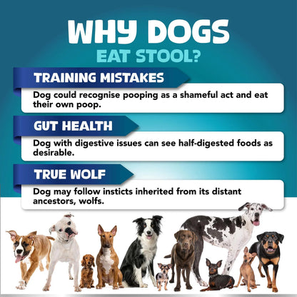 No Poo Chews Dogs Stop Poop Eating Probiotics Digestive 180 Chews - pawvon