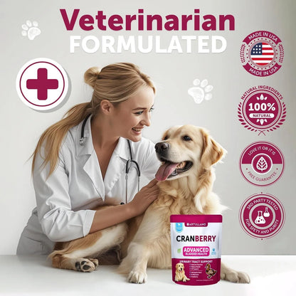 Dog UTI Treatment Cranberry Soft Chews for Bladder, Kidney & Urinary Health - pawvon