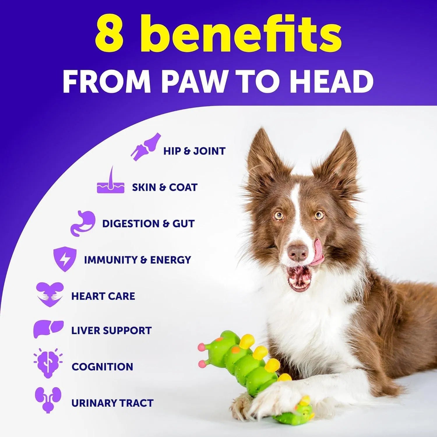 Dog Multivitamin Chews – Joint, Skin, Gut & Immunity Support | 120 Chews - pawvon