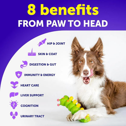Dog Multivitamin Chews – Joint, Skin, Gut & Immunity Support | 120 Chews - pawvon
