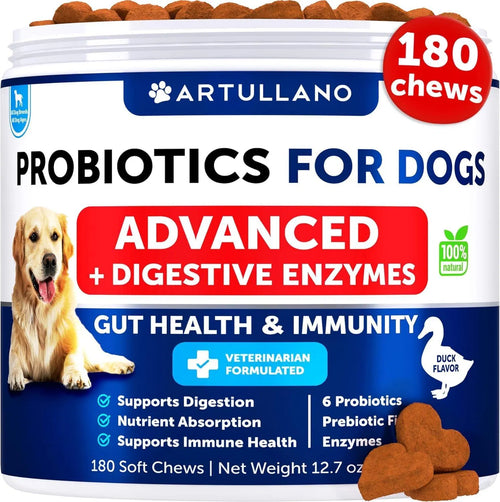 Probiotic Chews for Dogs – Gut Health & Digestive Support (180 Count) - pawvon