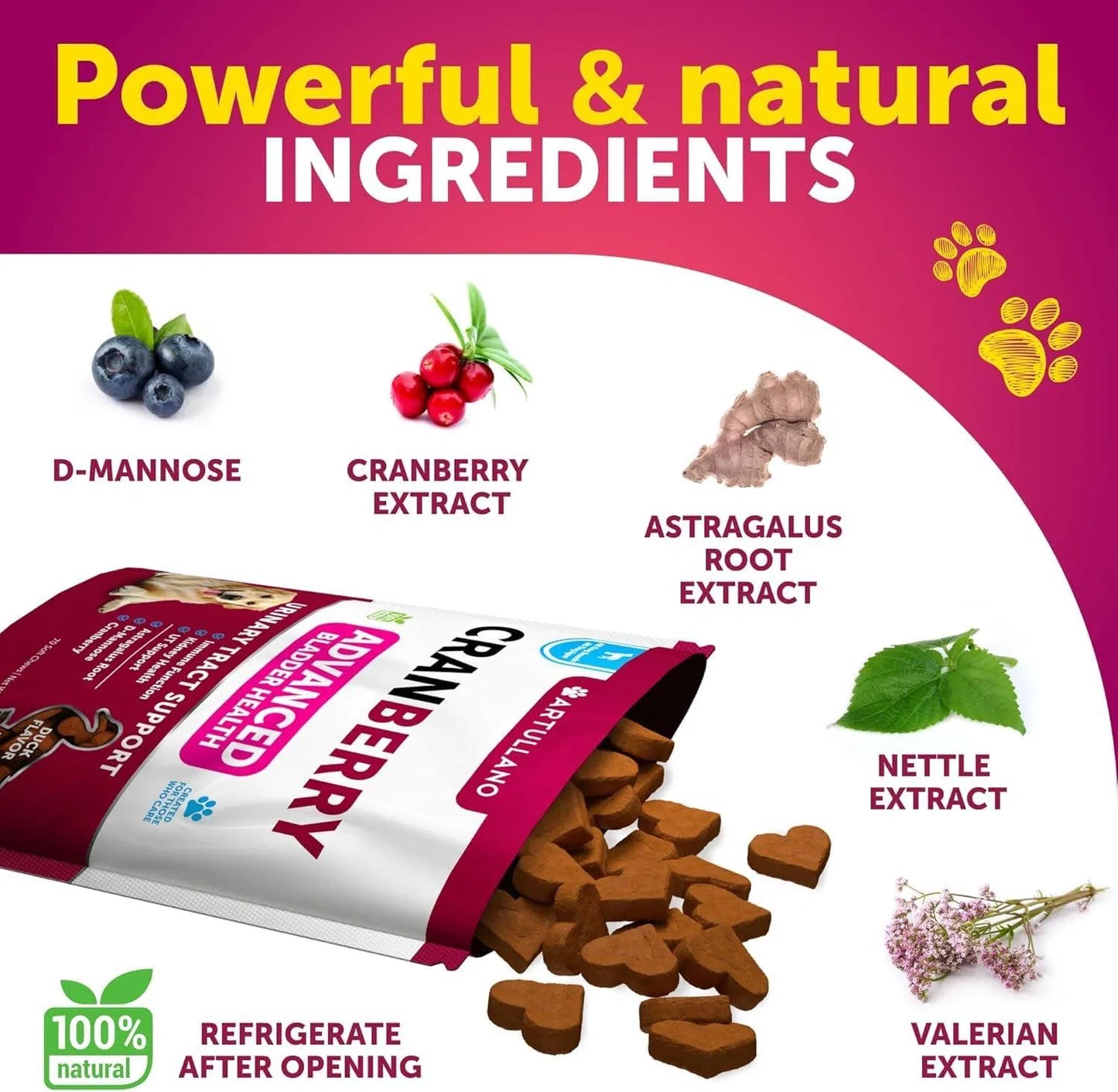 Dog UTI Treatment Cranberry Soft Chews for Bladder, Kidney & Urinary Health - pawvon