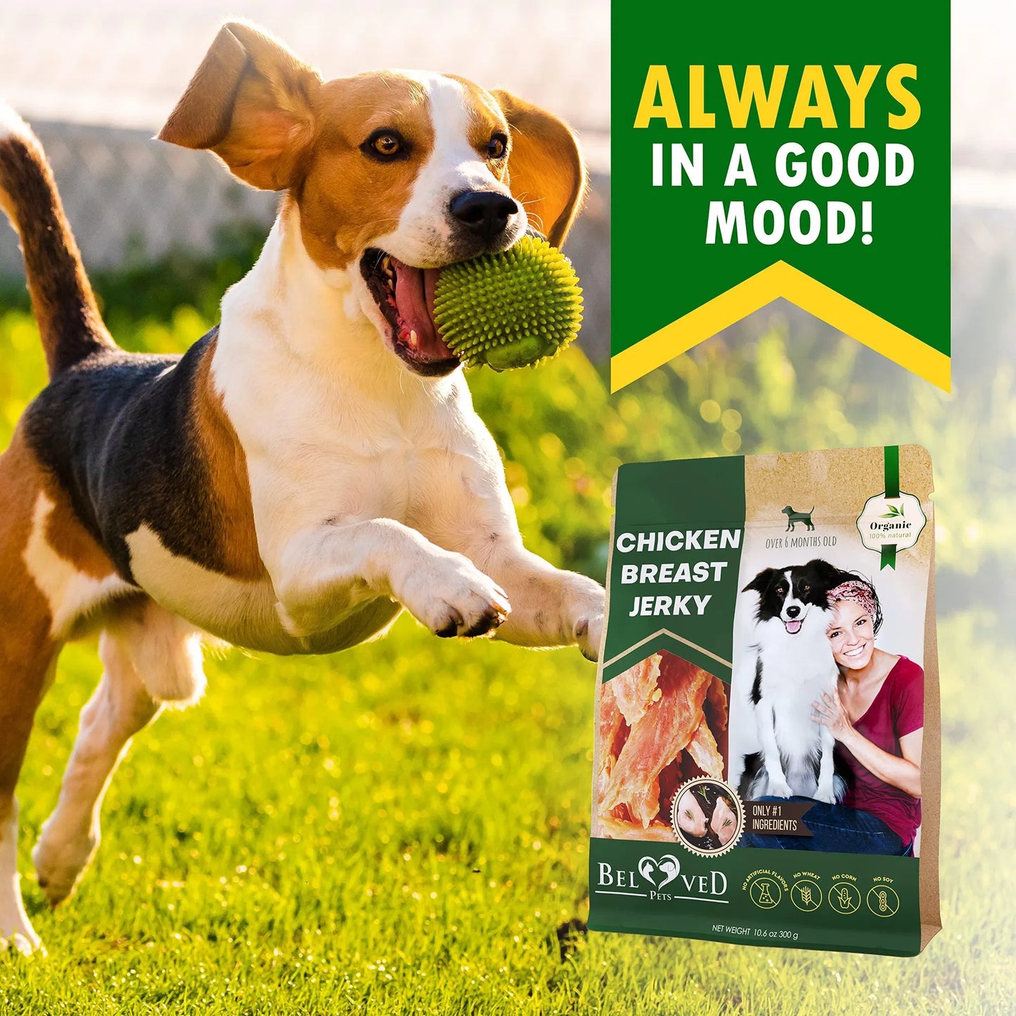 Chicken Jerky Dog Treats – Grain-Free High Protein Chews (300g) - pawvon
