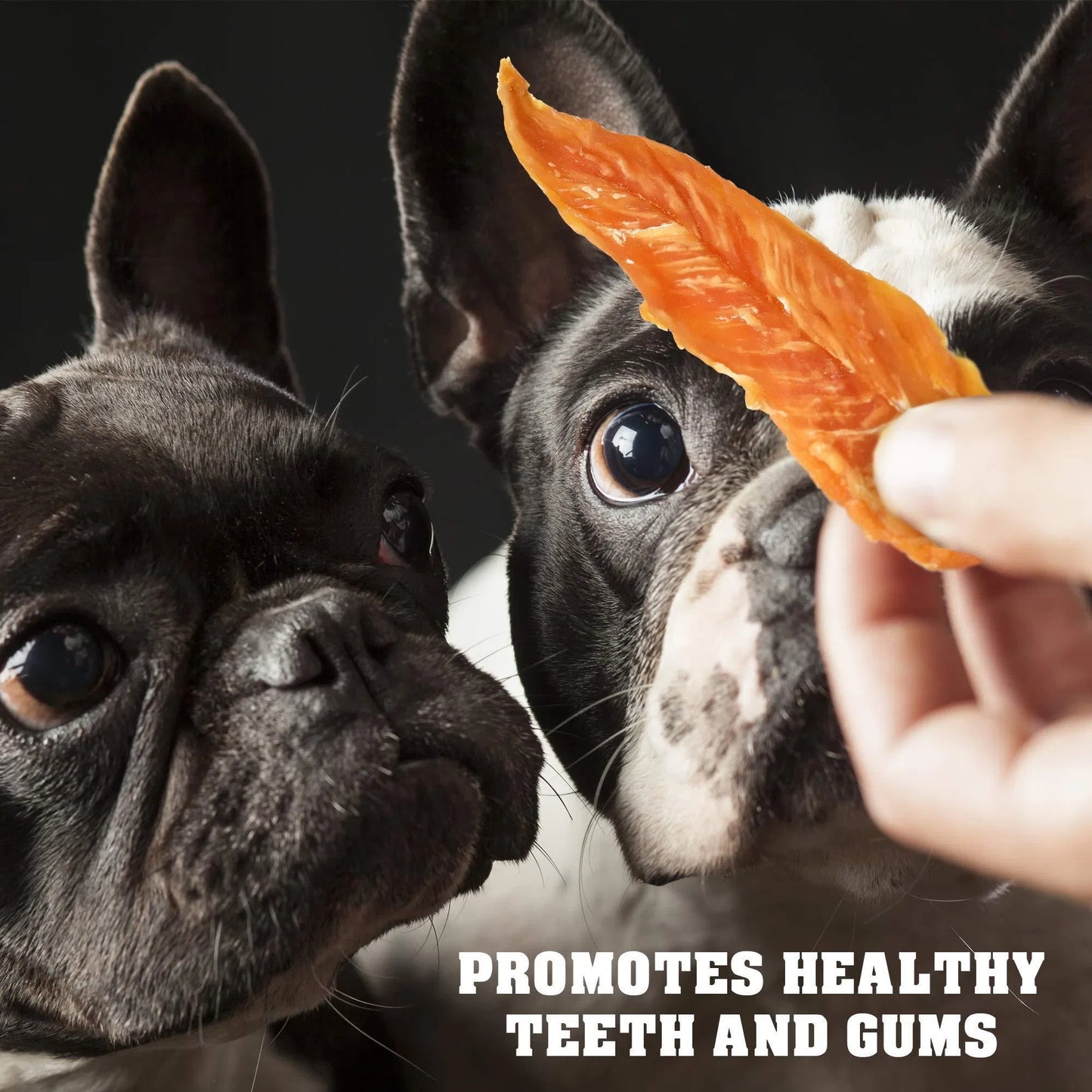 Chicken Jerky Dog Treats 1.5Lb Grain Free Organic High Protein - pawvon