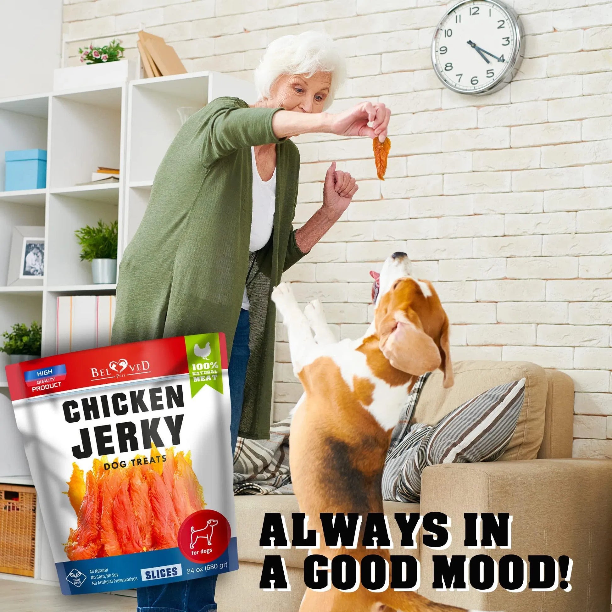 Chicken Jerky Dog Treats 1.5Lb Grain Free Organic High Protein - pawvon