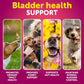 Dog UTI Treatment Cranberry Soft Chews for Bladder, Kidney & Urinary Health - pawvon