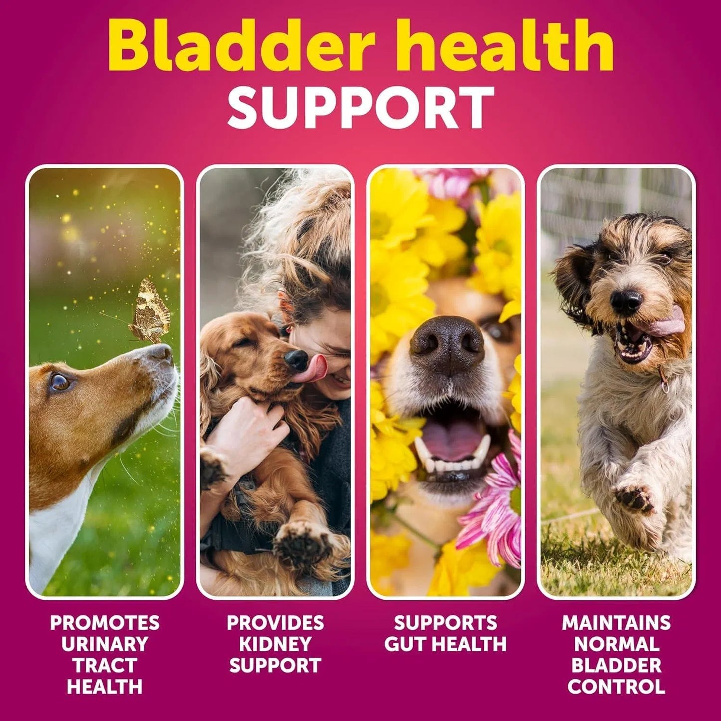Dog UTI Treatment Cranberry Soft Chews for Bladder, Kidney & Urinary Health - pawvon