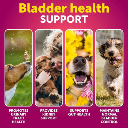 Dog UTI Treatment Cranberry Soft Chews for Bladder, Kidney & Urinary Health - pawvon